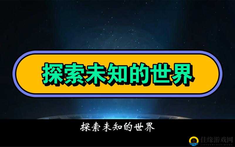 91 网视频：探索未知的精彩世界